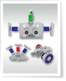 HOKE - Manifolds